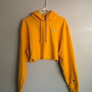 BRAND NEW! Champion cropped, hooded sweatshirt!